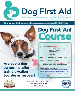 Dog First Aid Course