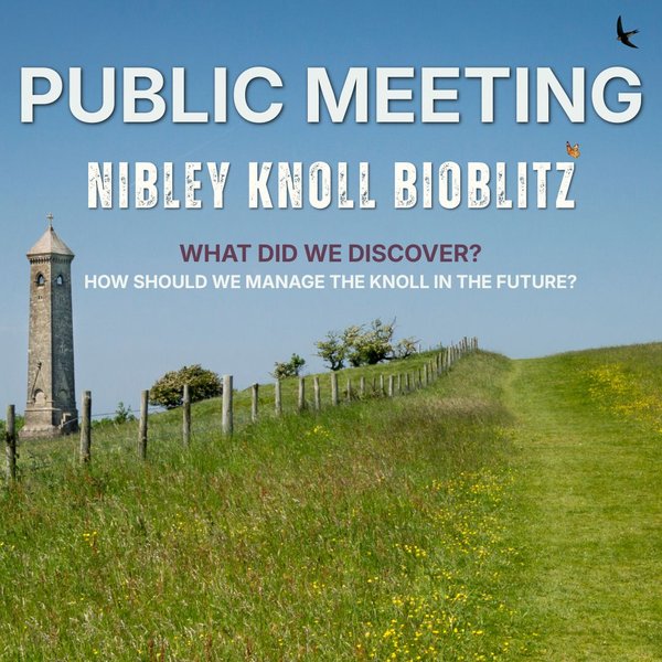 Public Meeting