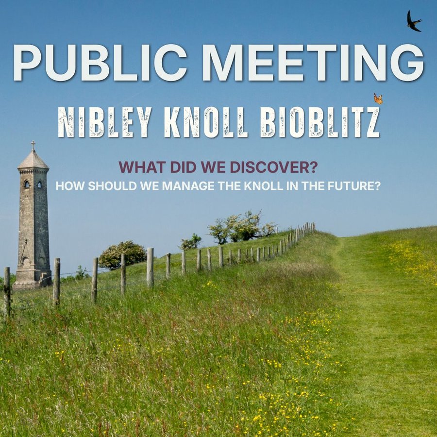 Public Meeting