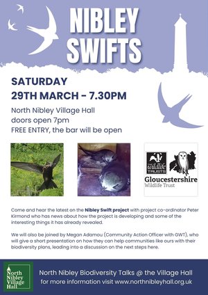 Nibley Swifts