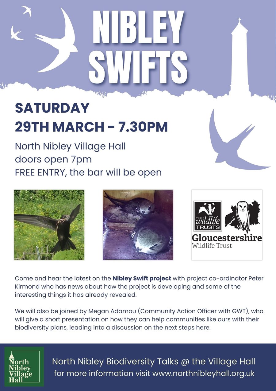 Nibley Swifts
